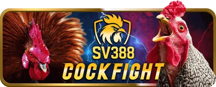 Sứ mệnh và tầm nhìn của vnsoxo code